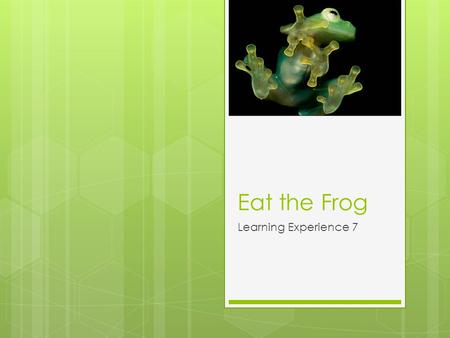 Eat the Frog Learning Experience 7. VIA – Values in Action  Enjoy laughter and making people laugh.  See the lighter side of life. “Nice to be here?