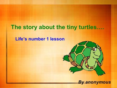 The story about the tiny turtles…. Life’s number 1 lesson