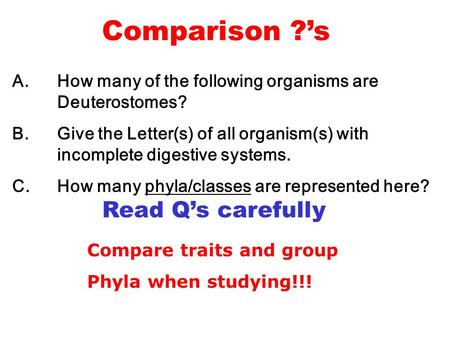Comparison ?’s A. 	How many of the following organisms are 	Deuterostomes? B. 	Give the Letter(s) of all organism(s) with 	incomplete digestive systems.
