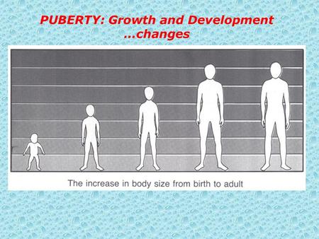 PUBERTY: Growth and Development …changes