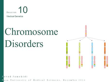 Chromosome Abnormalities