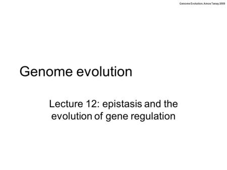 Genome Evolution. Amos Tanay 2009 Genome evolution Lecture 12: epistasis and the evolution of gene regulation.