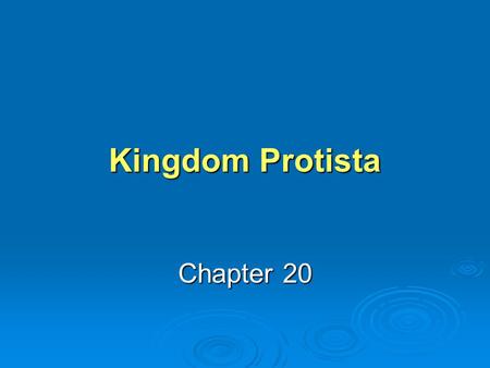 Kingdom Protista Chapter 20. A dense forest grows along the west coast of North America from Mexico to Alaska. The photosynthetic giants in this forest.