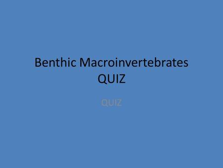 Benthic Macroinvertebrates QUIZ QUIZ. 1. What order do mayflies belong to?