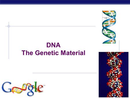 DNA The Genetic Material