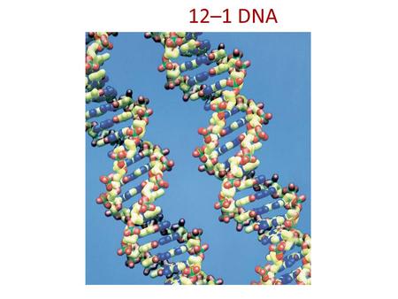 12–1 DNA Photo credit: Jacob Halaska/Index Stock Imagery, Inc.