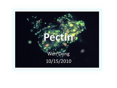 Pectin Wen Dong 10/15/2010. The plant cell wall is composed of polysaccharides and proteins. The wall polysaccharides are often classified into cellulose,