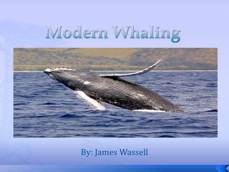 By: James Wassell. Whaling is the hunting of whales and started in the year 4,000 BC. o Traditional Arctic whaling developed rapidity with early organized.