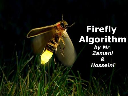 Firefly Algorithm by Mr Zamani & Hosseini.