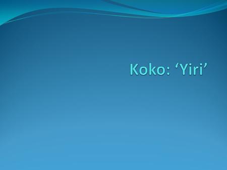 Koko: ‘Yiri’.