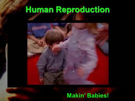 Human Reproduction Makin’ Babies!. Reproductive Systems: Female.