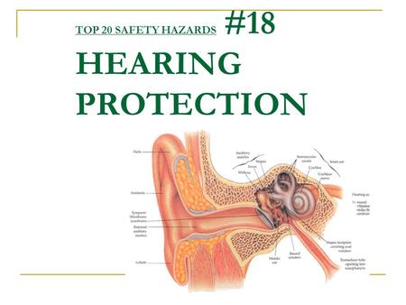 TOP 20 SAFETY HAZARDS #18 HEARING PROTECTION