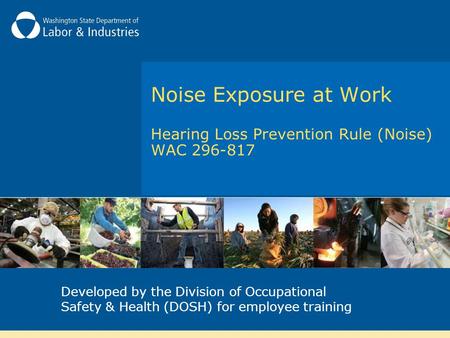 Hearing Loss Prevention Rule (Noise) WAC