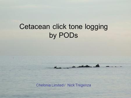 Cetacean click tone logging by PODs Chelonia Limited / Nick Tregenza.