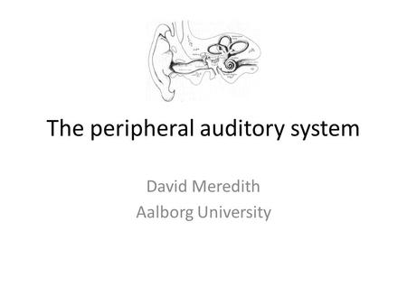 The peripheral auditory system David Meredith Aalborg University.