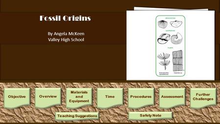 Fossil Origins By Angela McKeen Valley High School 1.Separate fossils into groups that are similar in appearance. 2.Write a brief description of each group.