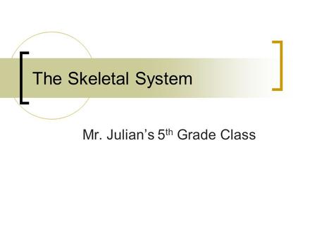 The Skeletal System Mr. Julian’s 5 th Grade Class.