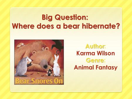 Big Question: Where does a bear hibernate?