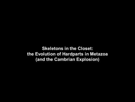 Skeletons in the Closet: the Evolution of Hardparts in Metazoa