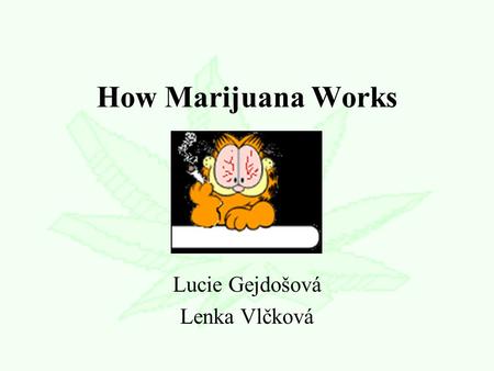 How Marijuana Works Lucie Gejdošová Lenka Vlčková.