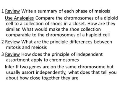 1 Review Write a summary of each phase of meiosis Use Analogies Compare the chromosomes of a diploid cell to a collection of shoes in a closet. How are.