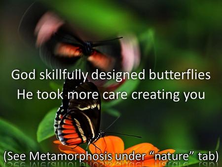 God skillfully designed butterflies He took more care creating you