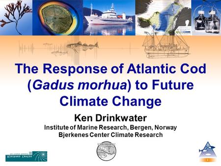 The Response of Atlantic Cod (Gadus morhua) to Future Climate Change