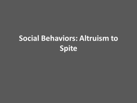 Social Behaviors: Altruism to Spite. Social Behaviors Animals often cooperate with each other – But in most cases this cooperation is mutually beneficial.