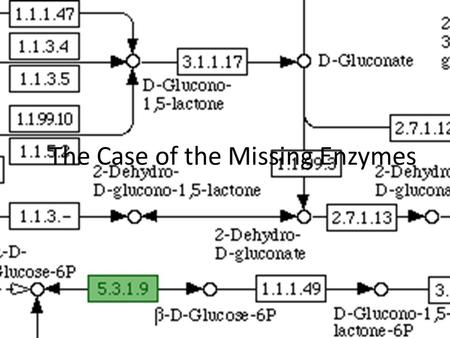 The Case of the Missing Enzymes. The Pentose Phosphate Pathway Primary Functions: To generate NADPH for use in reductive biosynthetic reactions To produce.