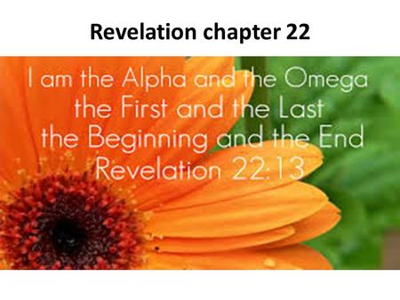 Revelation chapter 22. 1 Then he showed me a river of the water of life, clear as crystal, coming from the throne of God and of the Lamb, 2 in the middle.