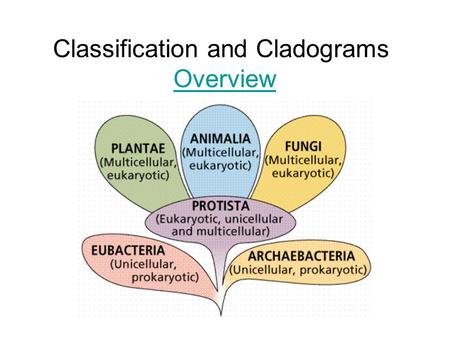 Classification and Cladograms Overview