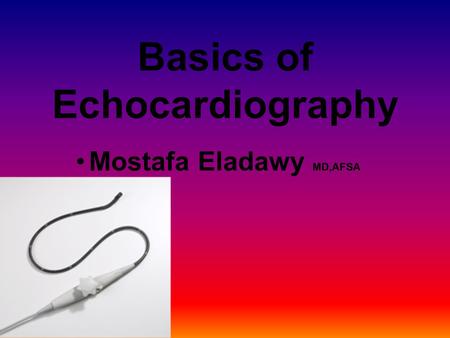 Mostafa Eladawy MD,AFSA Basics of Echocardiography.