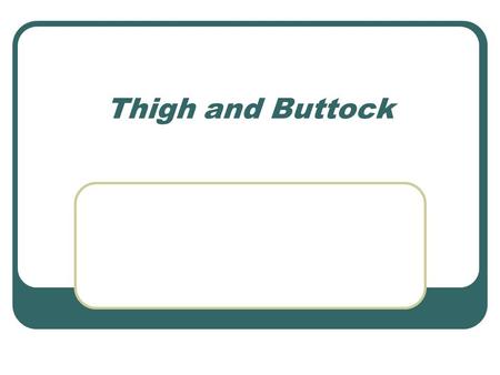 Thigh and Buttock.