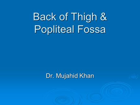 Back of Thigh & Popliteal Fossa