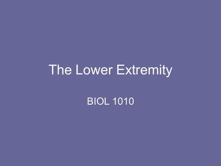 The Lower Extremity BIOL 1010. FEMUR TIBIA FIBULA.