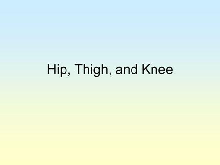 Hip, Thigh, and Knee.