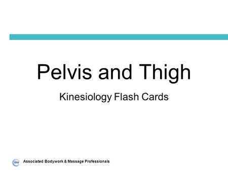 Associated Bodywork & Massage Professionals Pelvis and Thigh Kinesiology Flash Cards.