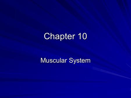 Chapter 10 Muscular System.