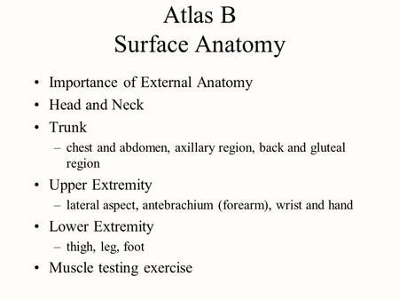 Atlas B Surface Anatomy