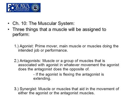 Ch. 10: The Muscular System: