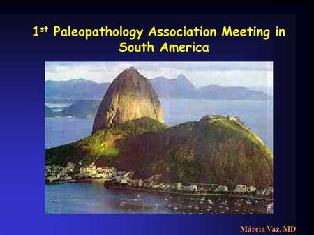 1 st Paleopathology Association Meeting in South America Foto rio Márcia Vaz, MD.