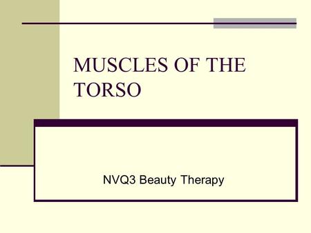 MUSCLES OF THE TORSO NVQ3 Beauty Therapy. Sternocleido mastoid Either side of neck from temporal bone to clavicle and sternum Used together nods the head.