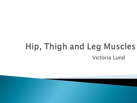 Hip, Thigh and Leg Muscles