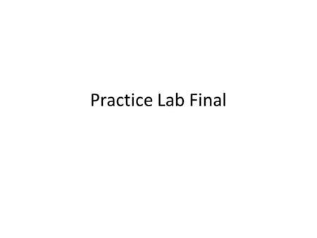 Practice Lab Final.