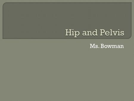 Hip and Pelvis Ms. Bowman.