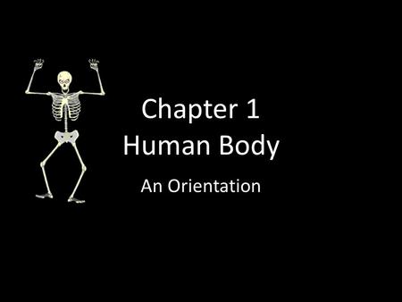 Chapter 1 Human Body An Orientation.