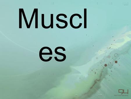 Muscl es. Muscles Functional anatomy of the Upper Limb - trapezius: attached to scapula and axial skeleton. Due to muscle shape it is capable of moving.
