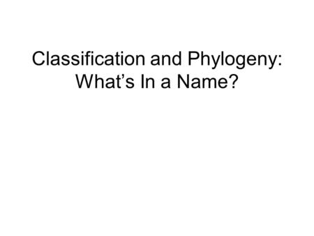 Classification and Phylogeny: What’s In a Name?. Alice in Wonderland “What’s the use of their having names,” the Gnat said, “if they don’t answer to them?”