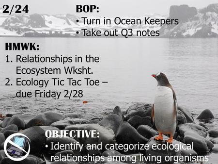HMWK: 1.Relationships in the Ecosystem Wksht. 2.Ecology Tic Tac Toe – due Friday 2/28 2/24 OBJECTIVE: Identify and categorize ecological relationships.