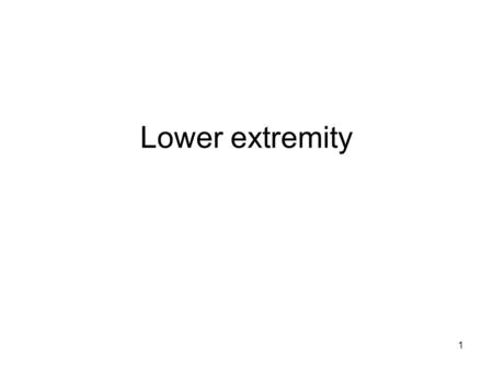Lower extremity.